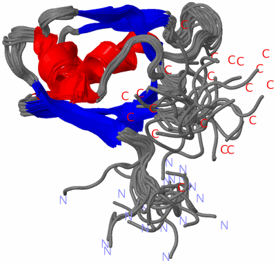 Image NMR Structure - all models