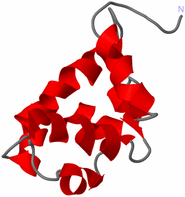 Image NMR Structure - model 1