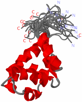 Image NMR Structure - all models