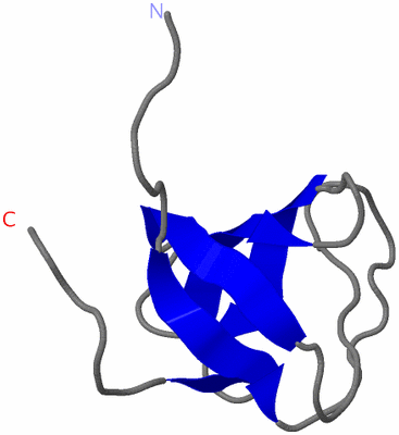 Image NMR Structure - model 1