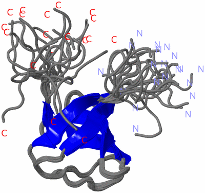 Image NMR Structure - all models