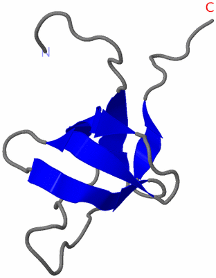 Image NMR Structure - model 1