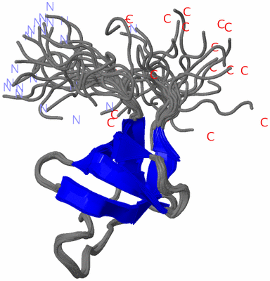 Image NMR Structure - all models