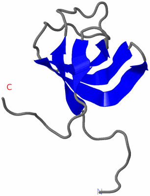 Image NMR Structure - model 1