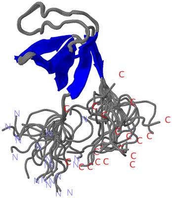 Image NMR Structure - all models