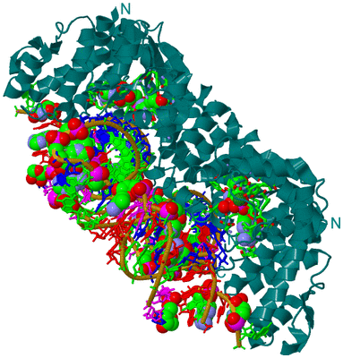 Image Biol. Unit 1 - sites