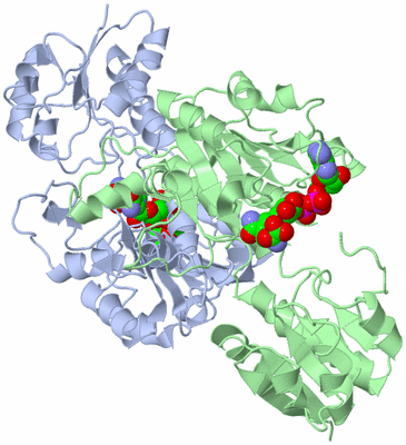 Image Asym./Biol. Unit