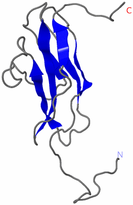 Image NMR Structure - model 1