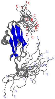 Image NMR Structure - all models