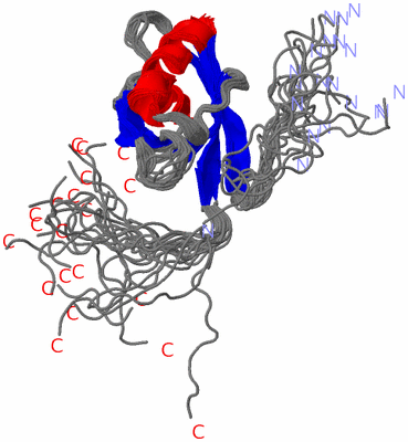 Image NMR Structure - all models