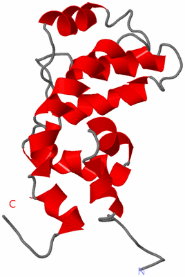 Image NMR Structure - model 1