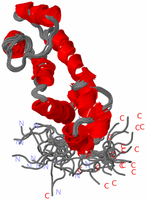 Image NMR Structure - all models