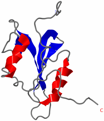 Image NMR Structure - model 1