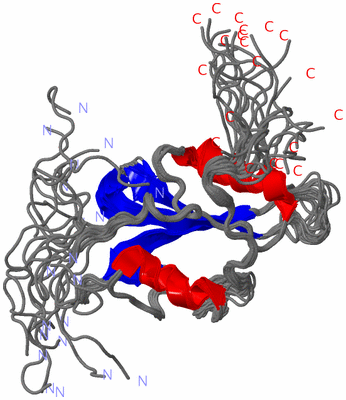 Image NMR Structure - all models