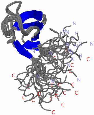 Image NMR Structure - all models