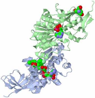 Image Asym./Biol. Unit