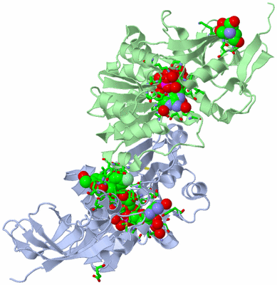 Image Asym./Biol. Unit - sites