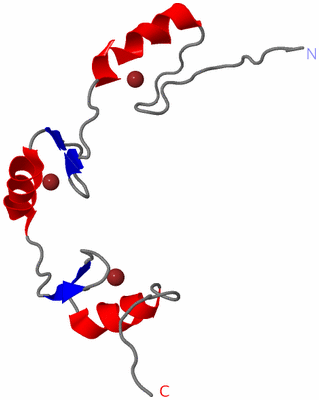 Image NMR Structure - model 1