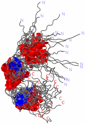 Image NMR Structure - all models