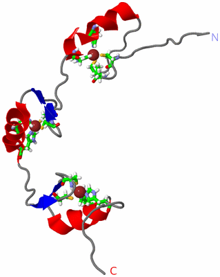 Image NMR Structure - model 1, sites