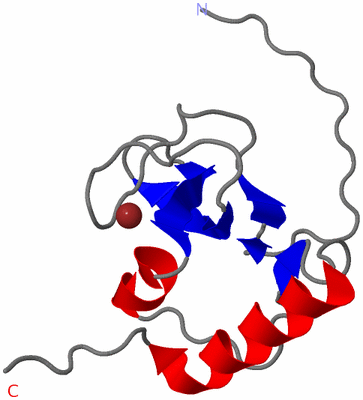 Image NMR Structure - model 1