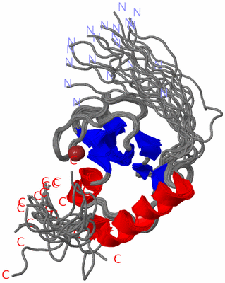 Image NMR Structure - all models