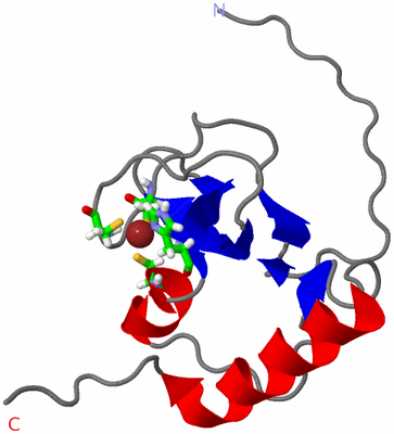 Image NMR Structure - model 1, sites