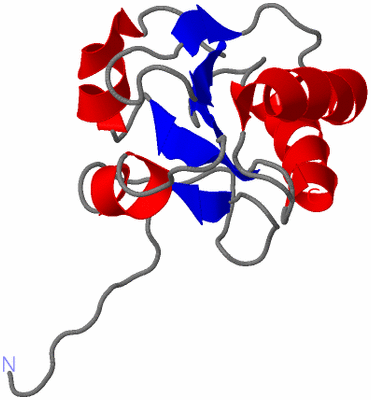 Image NMR Structure - model 1