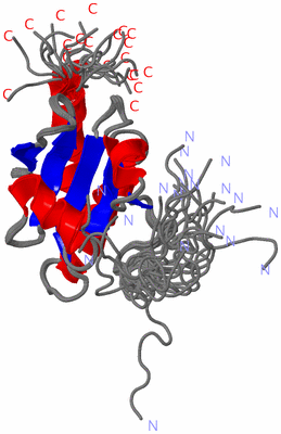 Image NMR Structure - all models