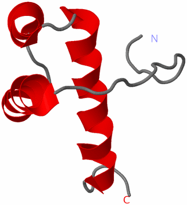 Image NMR Structure - model 1