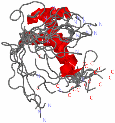 Image NMR Structure - all models