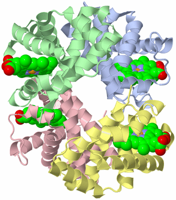 Image Asym./Biol. Unit