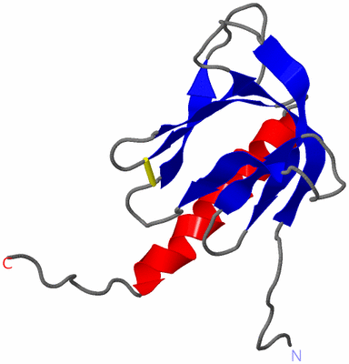 Image NMR Structure - model 1