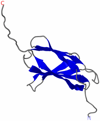 Image NMR Structure - model 1