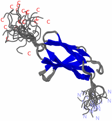 Image NMR Structure - all models