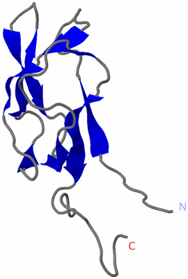 Image NMR Structure - model 1