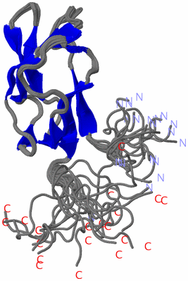 Image NMR Structure - all models