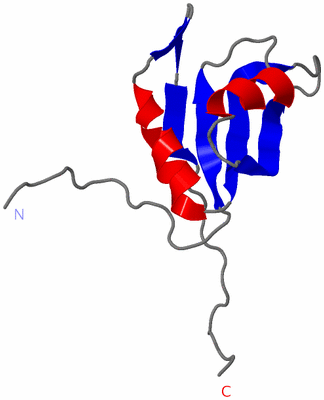 Image NMR Structure - model 1