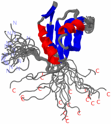 Image NMR Structure - all models