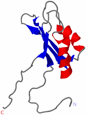 Image NMR Structure - model 1