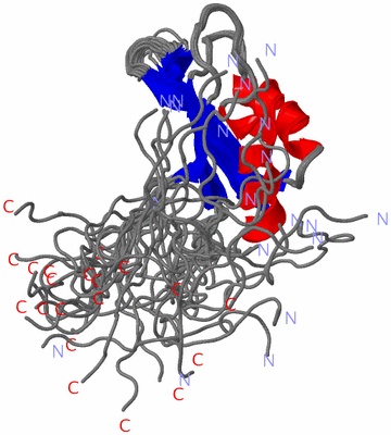 Image NMR Structure - all models