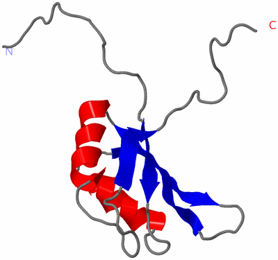 Image NMR Structure - model 1