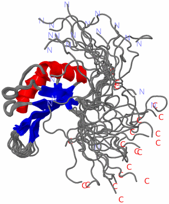 Image NMR Structure - all models