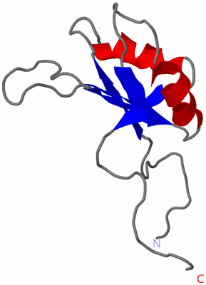 Image NMR Structure - model 1