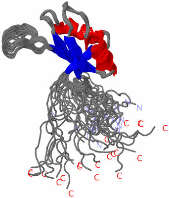 Image NMR Structure - all models