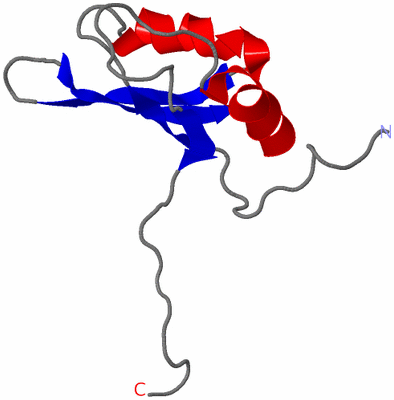 Image NMR Structure - model 1