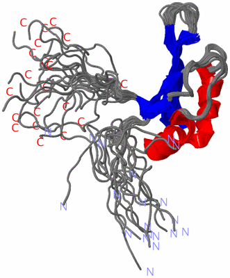 Image NMR Structure - all models