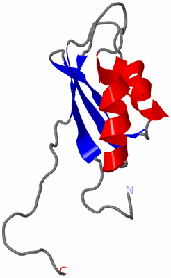 Image NMR Structure - model 1