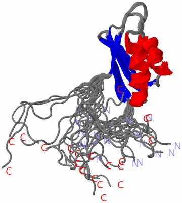 Image NMR Structure - all models