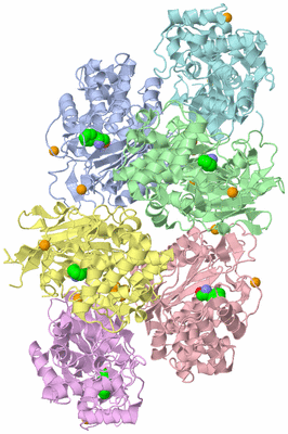 Image Asymmetric Unit